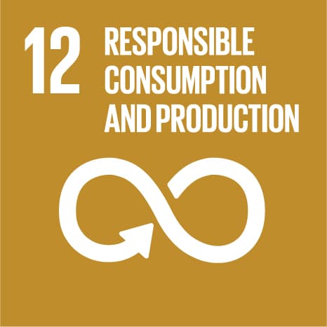 UN Sustainable Development Goal 12: Responsible Consumption & Production